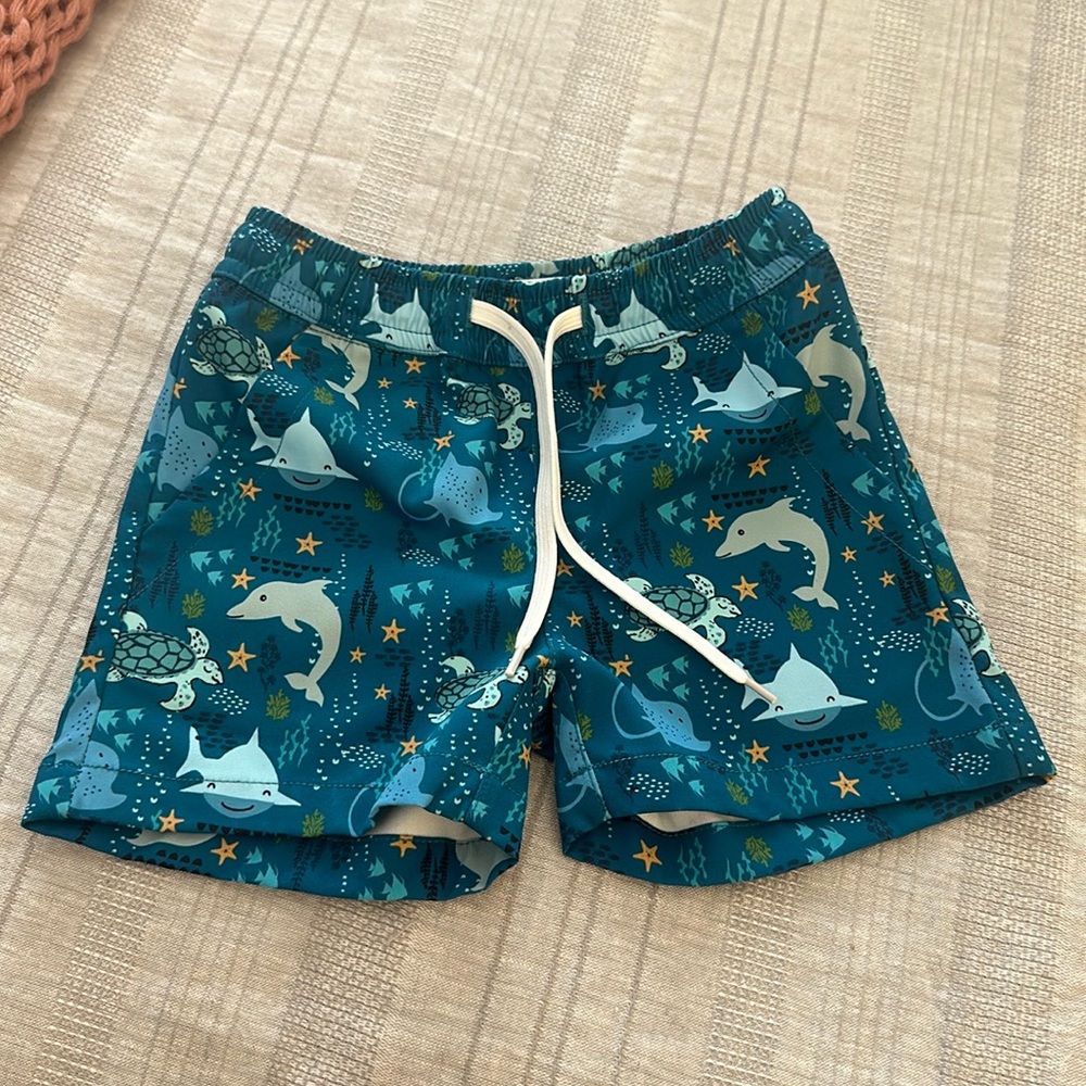 Emerson and Friends Swim Trunks
